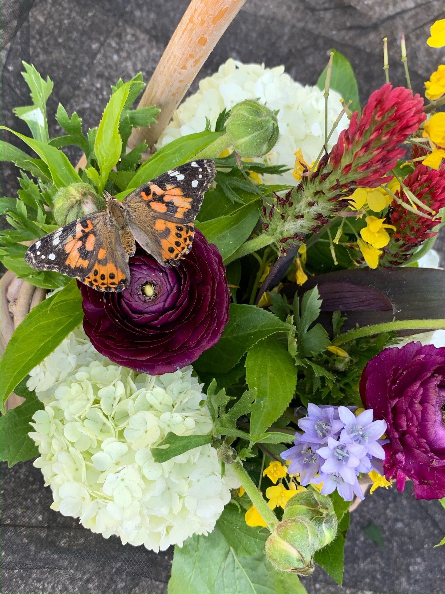 Mother's Day Basket with Natural Cut Flowers -PRE ORDER REQUIRED