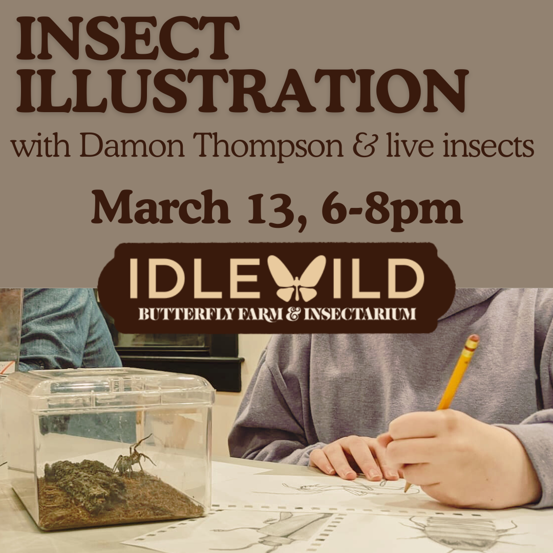 Live Insect Illustration with Damon Thompson
