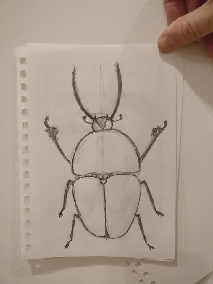 Live Insect Illustration with Damon Thompson