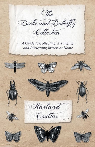 The Beetle and Butterfly Collection
