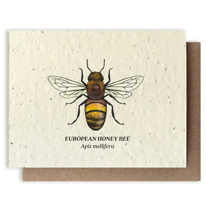 Honey Bee Plantable Wildflower Seed Card
