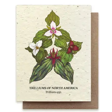 Trillium Compass Plantable Wildflower Seed Card