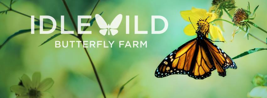 Idlewild Butterfly Farm Gift Certificate