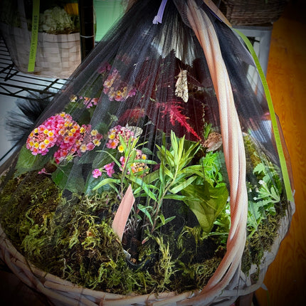 Mother's Day Butterfly Basket with Potted Plants $89.99-$109.99