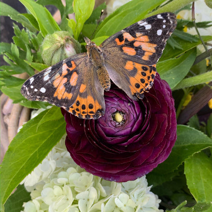 Mother's Day Basket with Natural Cut Flowers $69.99-$124.99