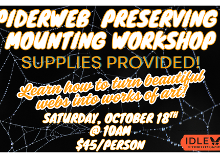 Spiderweb Preserving Workshop Saturday October 18th @ 10AM