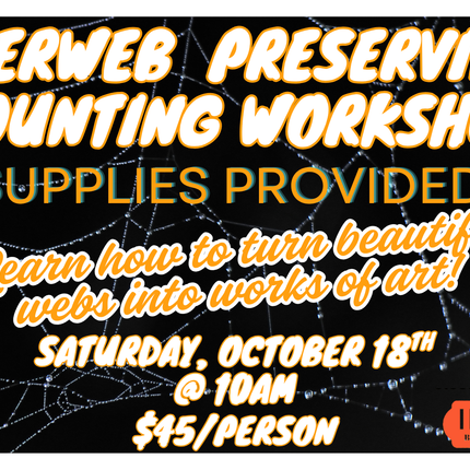 Spiderweb Preserving Workshop Saturday October 18th @ 10AM