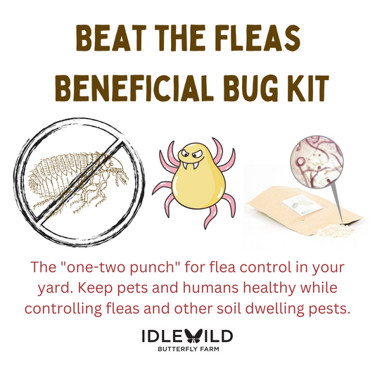 Beat the Fleas Beneficials Bug Kit