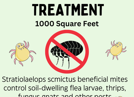Beneficial Mites to Control Fleas, Fungus Gnats, Spider mites, Thrips and more!