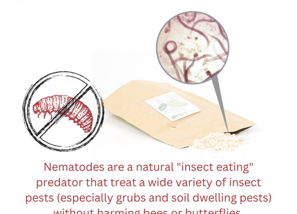 Beneficial Nematodes