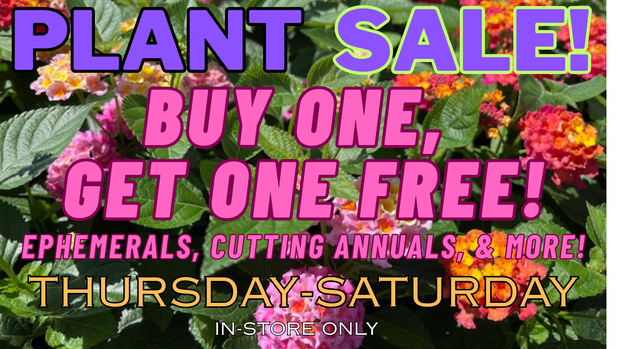 Banner image for: <h2>Image banner</h2>