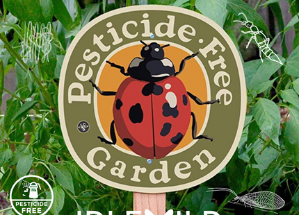 Beneficial Mites to Control Fleas, Fungus Gnats, Spider mites, Thrips and more!