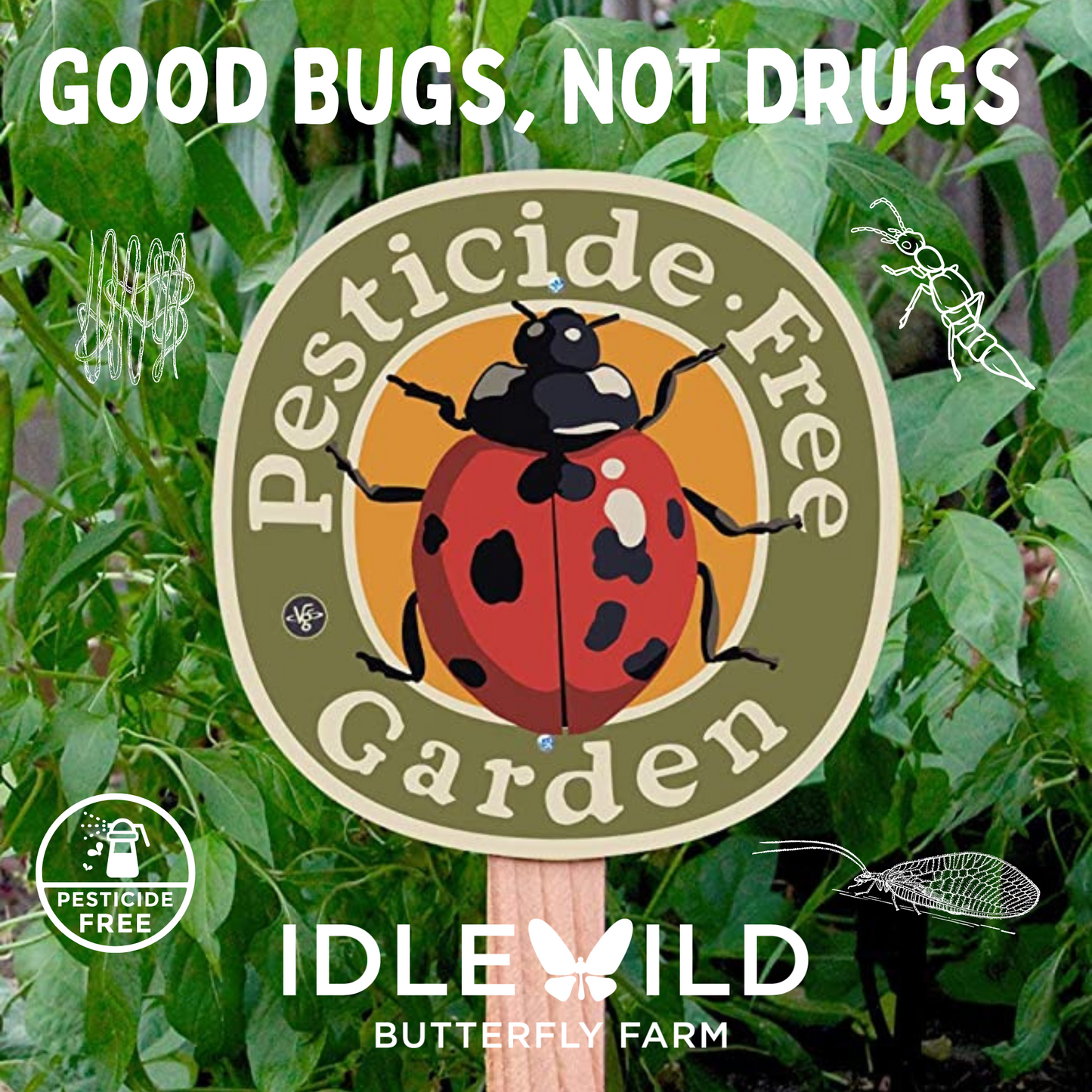 Gardener's Favorite Beneficial Bug Kit