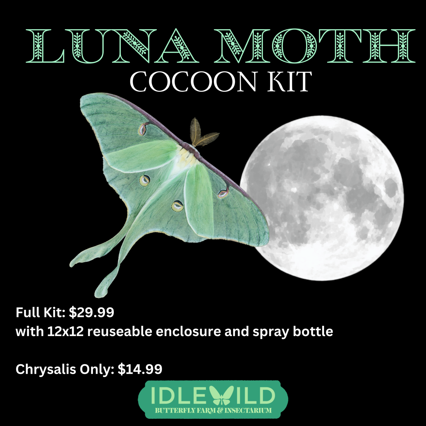 For Pickup Saturday July 6 12pm-4pm, Luna Moth Cocoon Kit