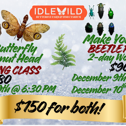 Pinning Class / Beetle Framing Workshop