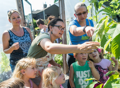 <strong>Field Trips</strong>