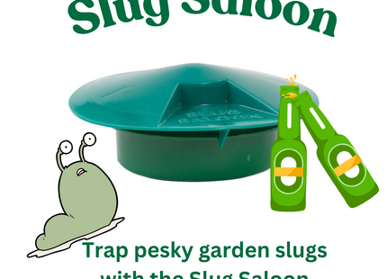 Slug Saloon