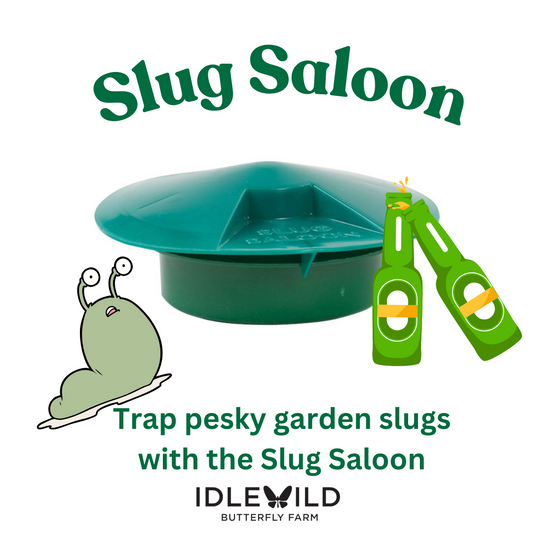 Slug Saloon