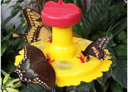 Butterfly Feeder