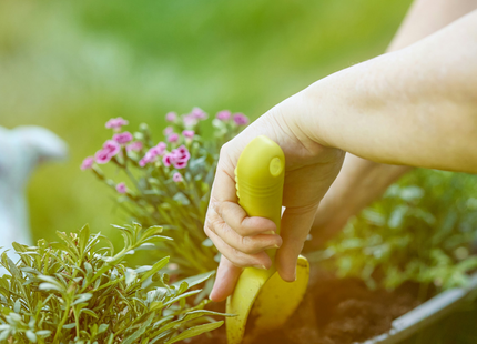 FREE Workshop: Container Gardening with Native Plants