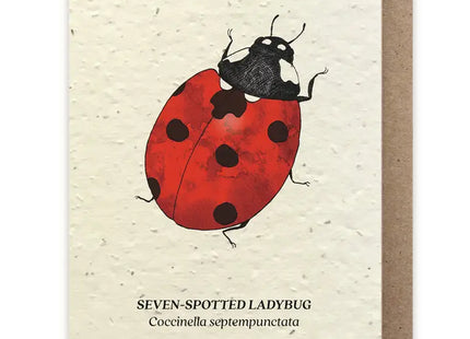 Seven-Spotted Ladybug Plantable Wildflower Seed Card