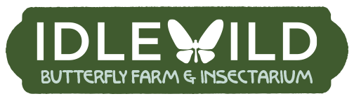 Idlewild Butterfly Farm