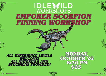 Emperor Scorpion Pinning Workshop