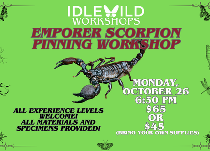 Emperor Scorpion Pinning Workshop