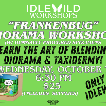 Frankenbug Diorama Workshop