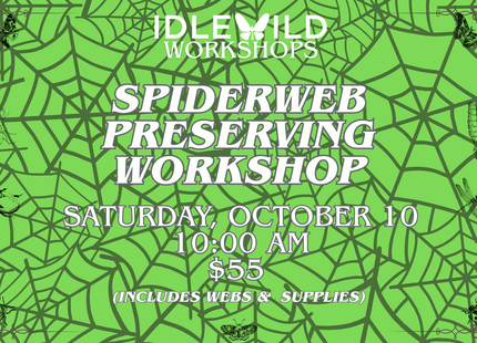 Spiderweb Preserving Workshop