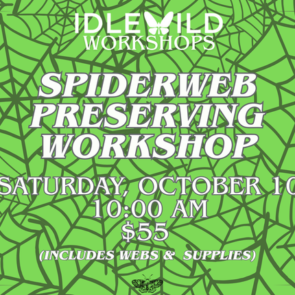Spiderweb Preserving Workshop