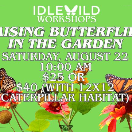 Raising Butterflies in the Garden Workshop