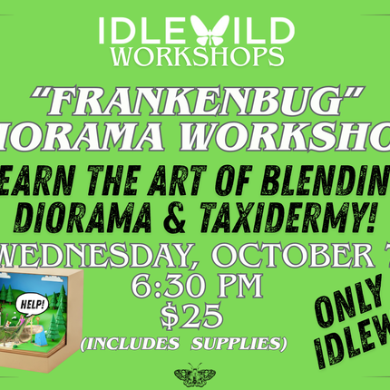 Frankenbug Diorama Workshop
