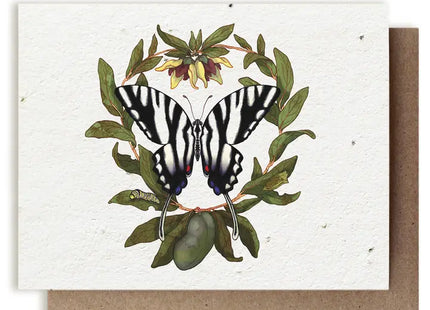 Zebra Swallowtail Butterfly & Pawpaw Plantable Herb Card